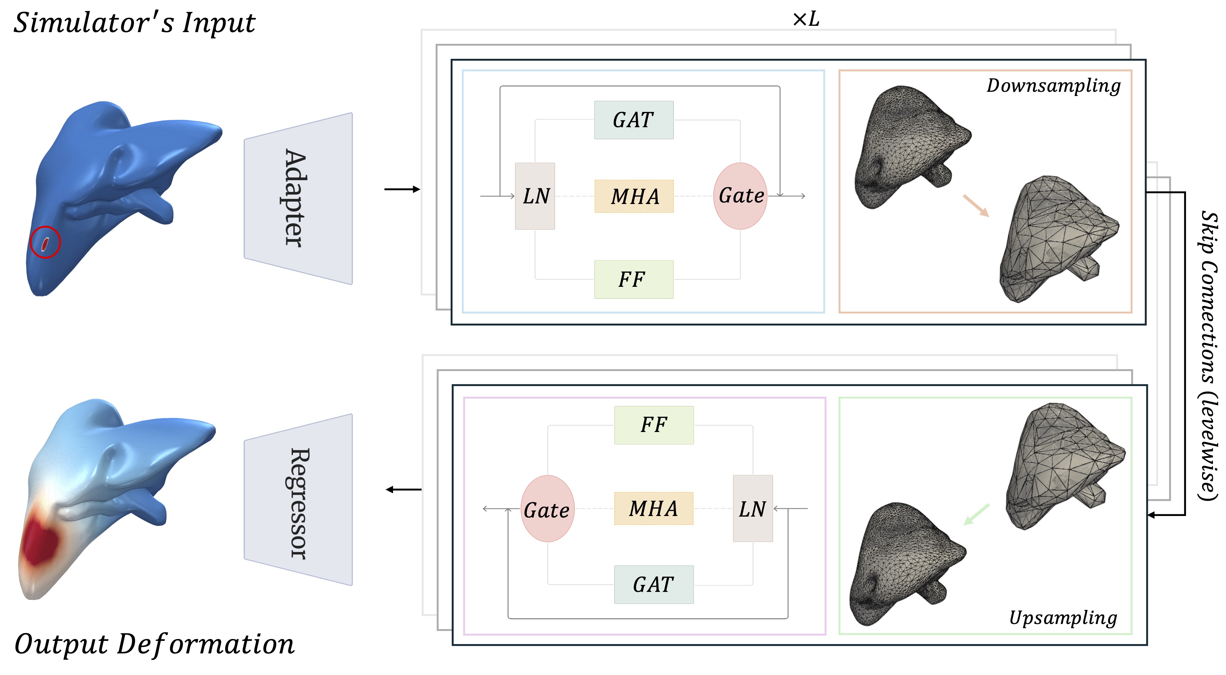 SurgFormer architecture figure